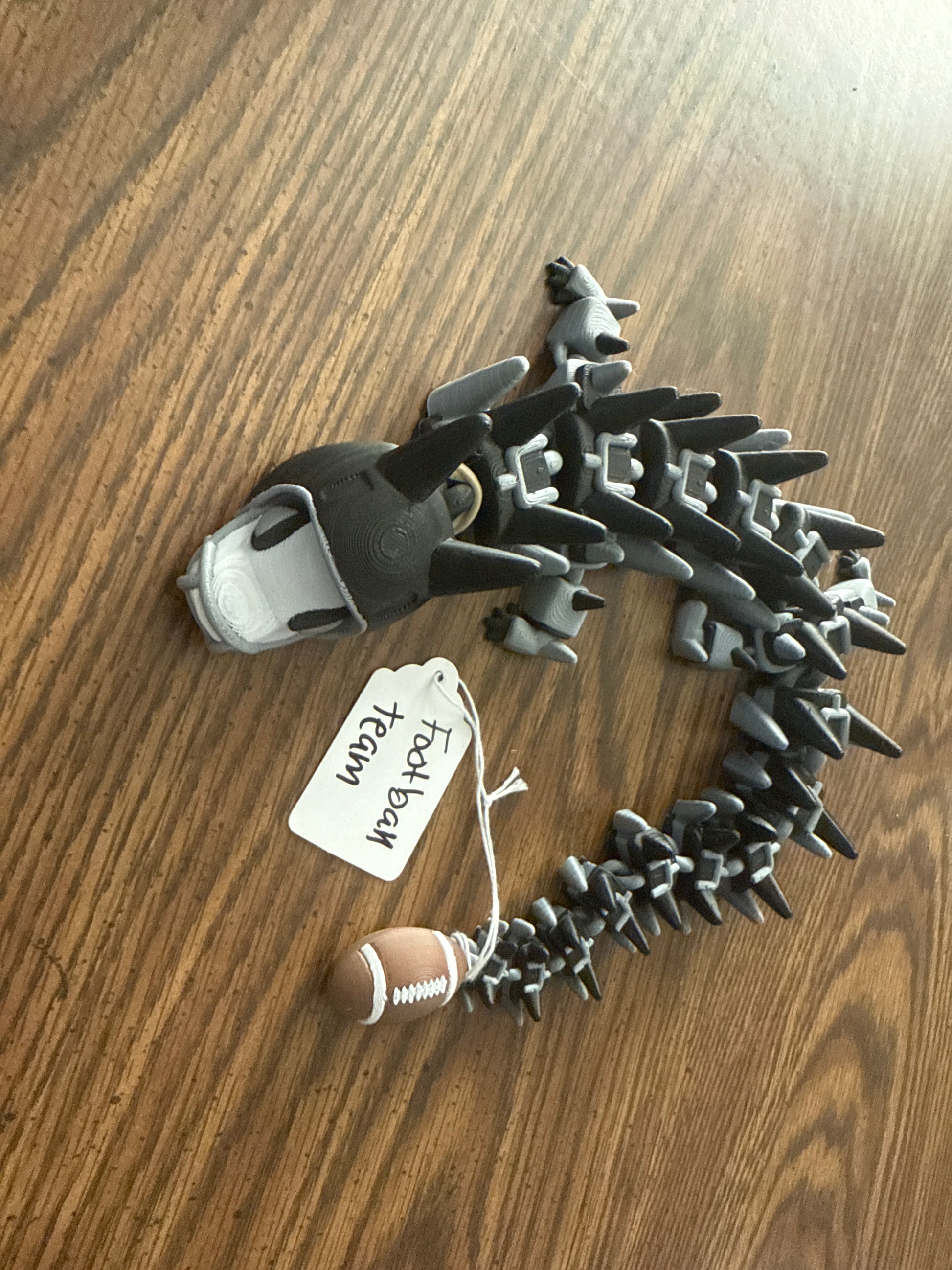 Football team 3D printed