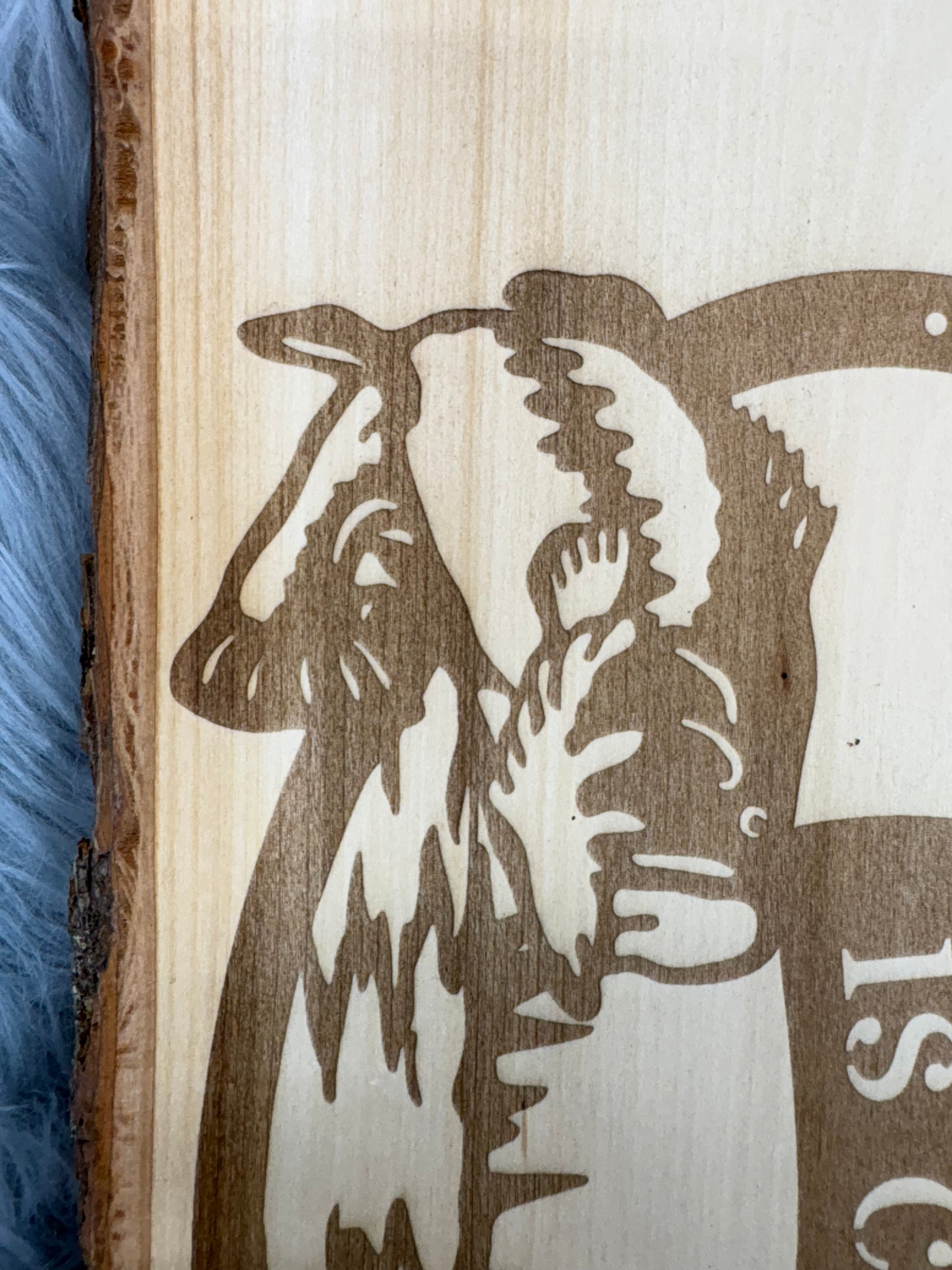 Live Edge “The Lake Is Calling” Laser Engraved Wood Sign | Rustic Lake House Decor | 9.5" x 13" | $35